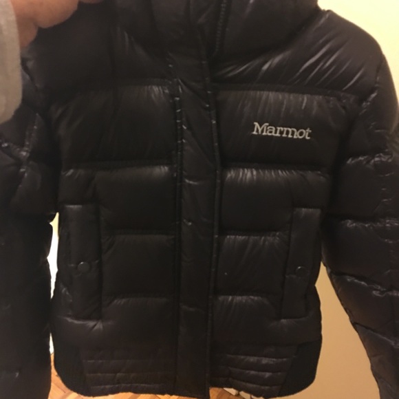 Marmont jacket - Picture 2 of 2